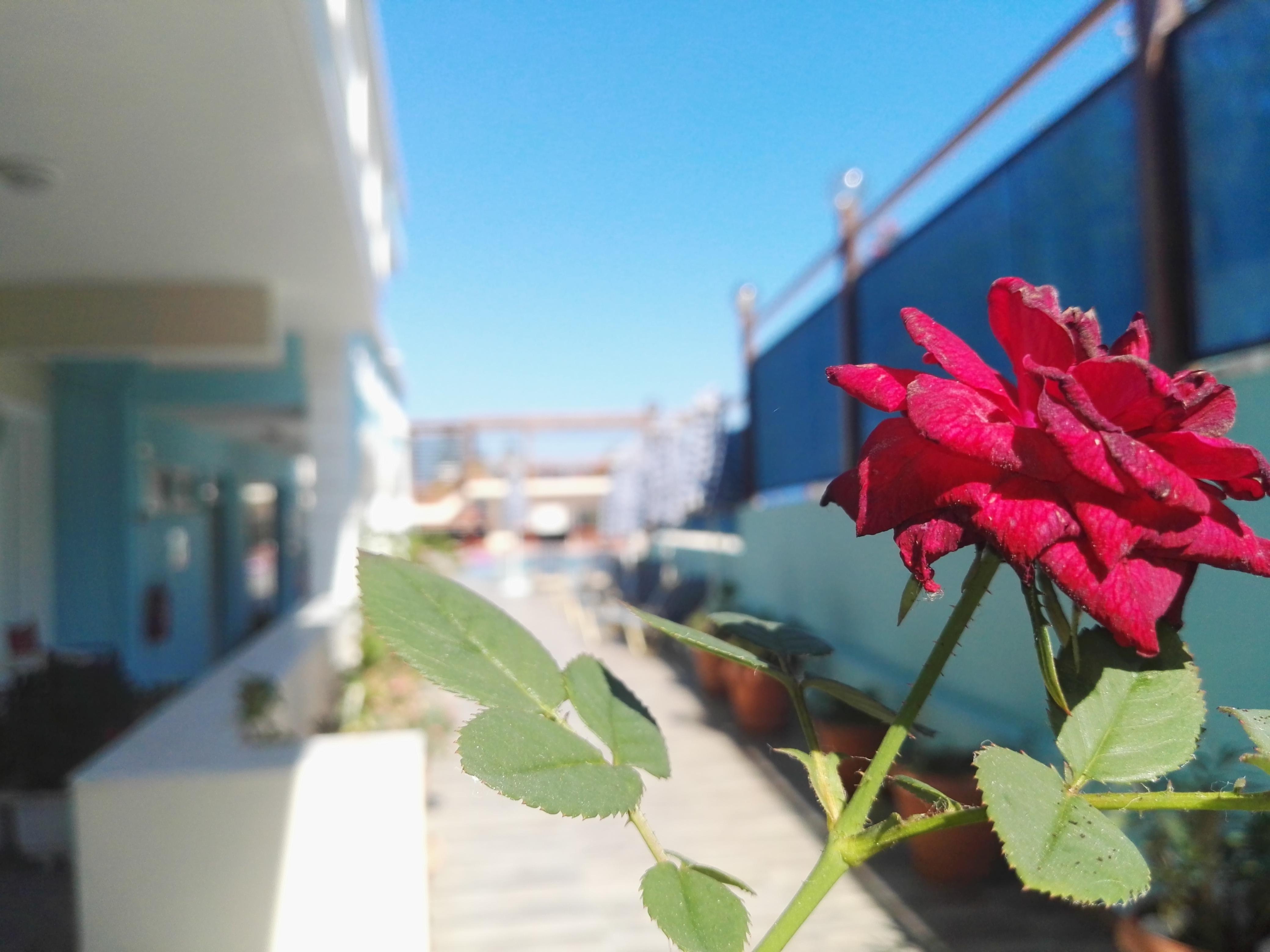 Epis Hotel Agia Marina Zewnętrze zdjęcie